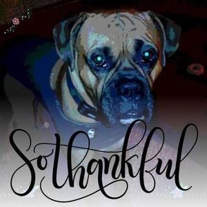 Meet your Posher, Shelly lynn